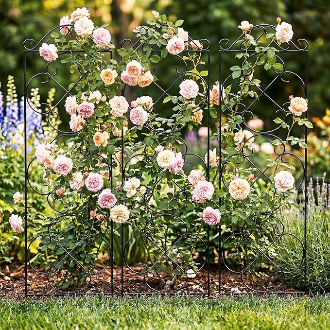 Garden Trellis 4 Pack 56'' H x 13.8'' W Metal Plant Climbing Trellis Suitable for Potted Plants Indoor and Outdoor Climbing Plants Flower Ivy Clematis Black