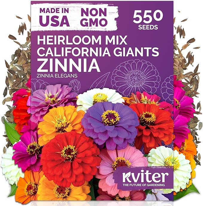 KVITER 550 California Giant Zinnia Seeds for 2026 (Zinnia Elegans) – Heirloom & Non GMO Double Blooms, Pollinator Magnet – Ideal Flower Seeds for Planting in Garden, Containers, Cutting Beds