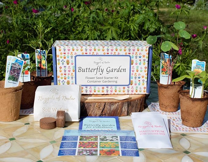 Butterfly Garden Flower Seed Starter Kit- Grow 6 Types of Wildflower Seeds Sized for Flower Pots- Nasturtium, Zinnia, Cosmos, Dwarf Sunflower, Baby Snapdragon and Candytuft