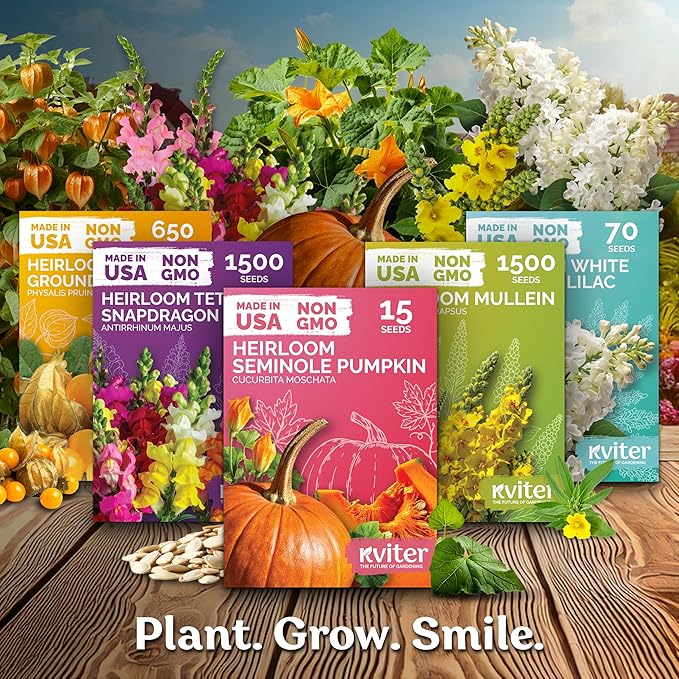 KVITER 2000 Shanin Wild Petunia Seeds for Planting (Pеtuniа viоlacea) – Violet Petunia Seed Packets Bulk – Annual Purple Flower Seeds to Plant Outside in Hanging Baskets, Flower Garden, Containers