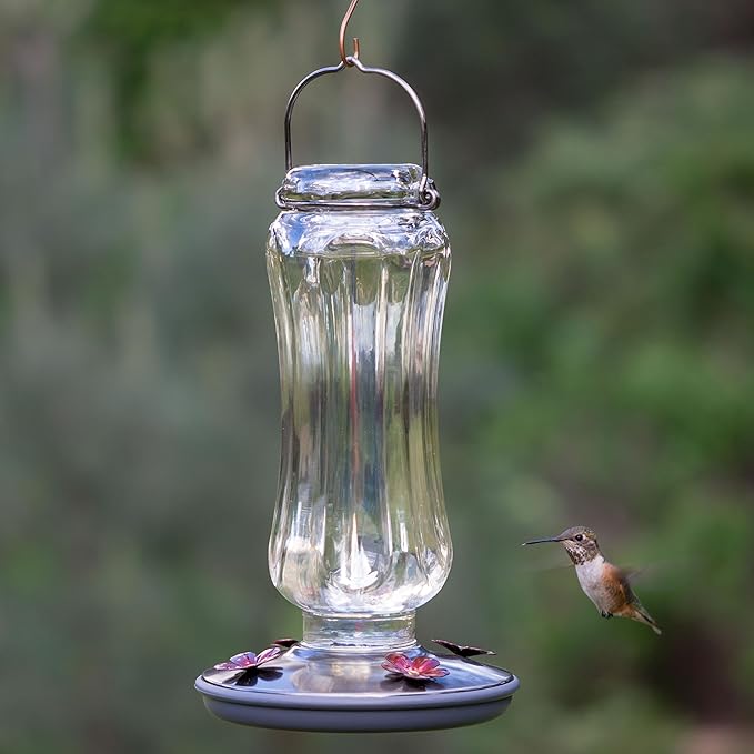 Perky-Pet Starglow Vintage Glass Hummingbird Feeder - 16 fl oz capacity - Humming Bird Feeder for Outdoors - 8132-2
