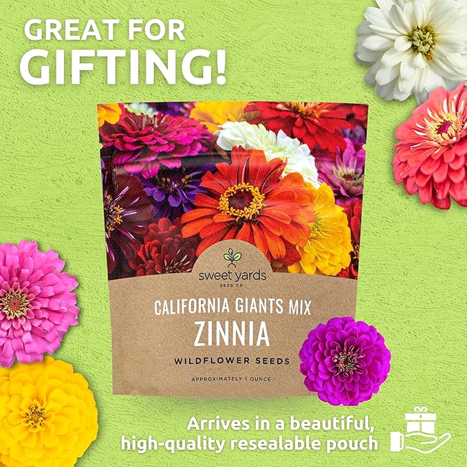 Zinnia Seeds - California Giants Mix - Large 1 Ounce Packet - 3,000 Flower Seeds - Mixed Colors and Large Blooms