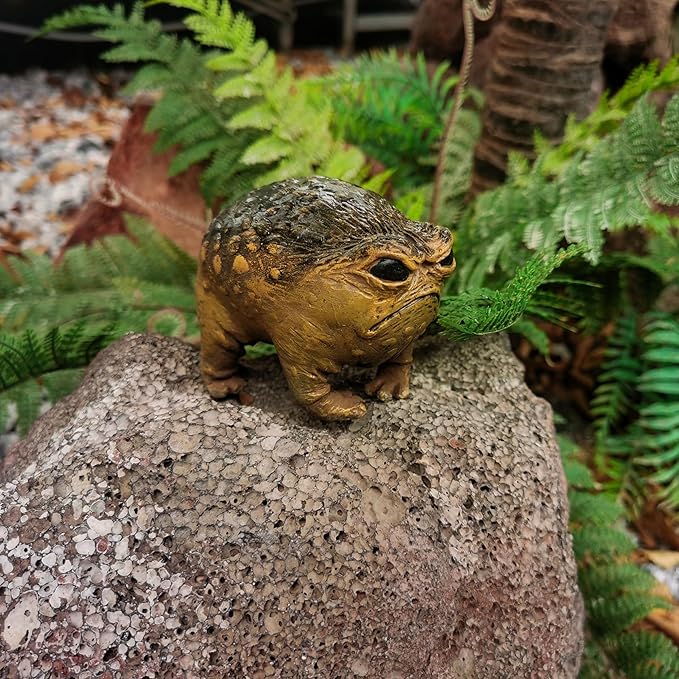 Weird Queer Grumpy Frog Toad Statue Ugly Angry Outdoor Garden Yard Decor Statue Fun Novelty Home Office Decor Sculpture Unique Gift