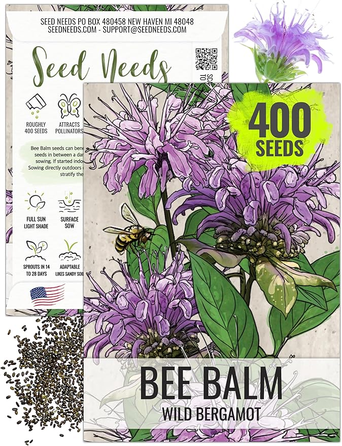 Seed Needs Bee Balm Seeds for Planting Wild Bergamot - Heirloom & Open Pollinated Perennial Flowers to Grow a Butterfly Garden to Attract Bees, Butterflies & Other Pollinators (1 Pack)