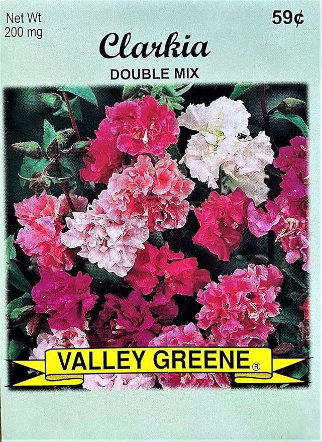 Set of Flower Seed Packets! Flower Seeds in Bulk - Great for Creating The Garden of Your Dreams! (200, Clarkia - Double Mix)