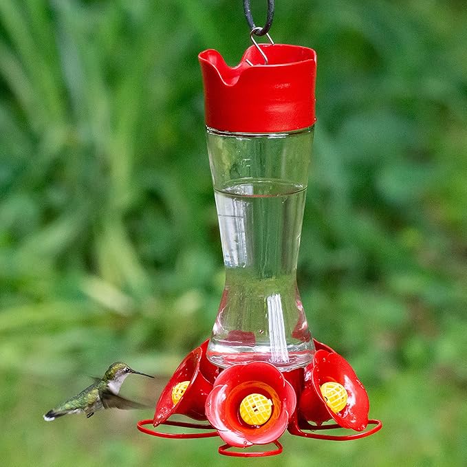 Perky-Pet 204CP-4 Favored Pinch-Waist Glass Hummingbird Feeder with Built-in Ant Moat and Bee Guards - 16 oz (Pack of 2)