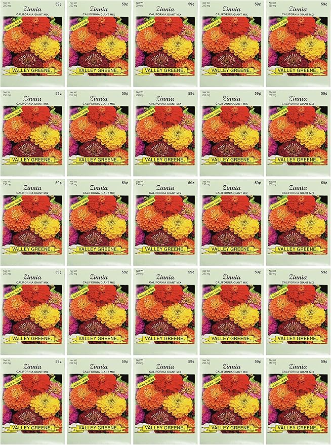 Black Duck Brand Set of 25 Packs of Zinnia California Flower Seed Packets! Flower Seeds in Bulk - Great for Creating The Garden of Your Dreams! (25, Zinnia - California Mix)