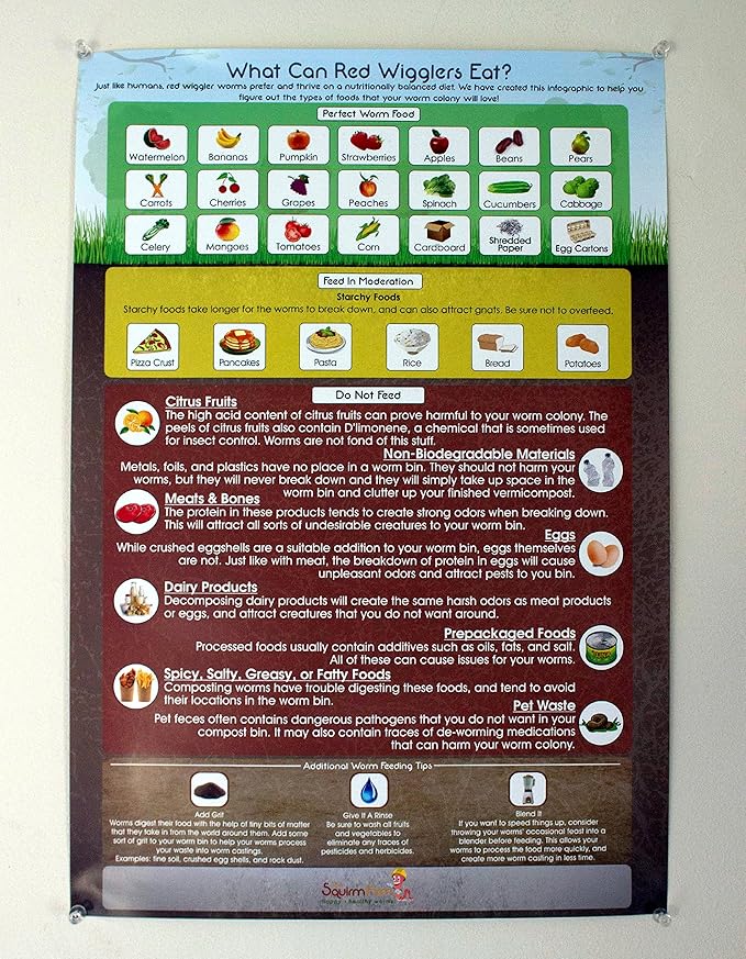 What Can Red Wigglers Eat? 13x19 Infographic Poster for Live Red Wiggler Worm Composting Bins - an Essential Accessory to Any Worm Farm Starter Kit - Perfect for Kids & Adults